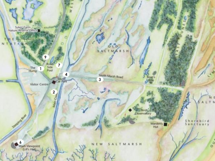 A route highlighting the history of Gibraltar Point, a Lincolnshire Wildlife Trust nature reserve. (Link to external site)