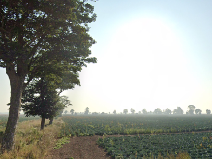 Circular Walks around Long Sutton